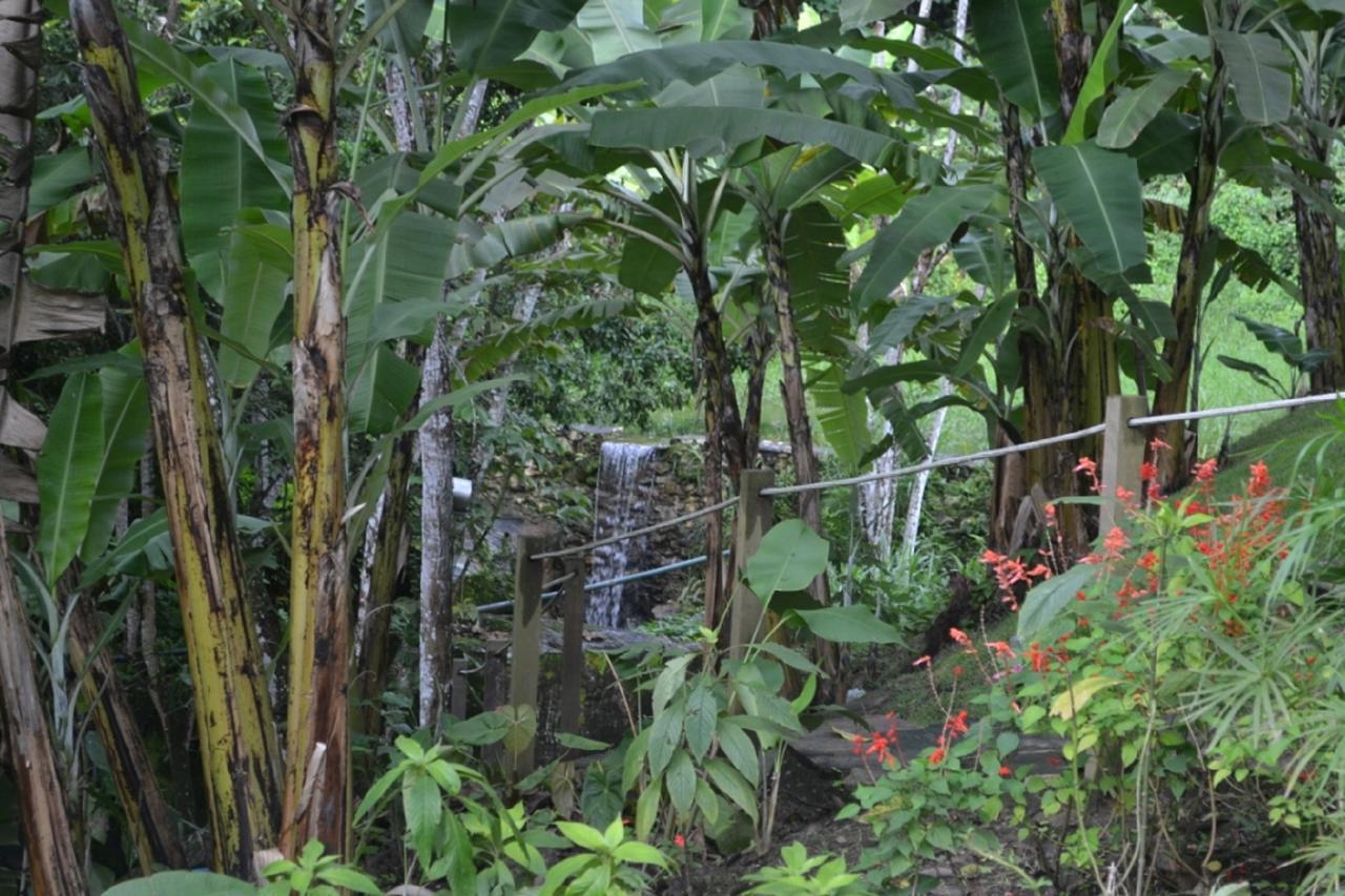 Villa Sitio Alto Da Montanha - Voce Em Paz Com A Natureza Pacoti Exterior foto