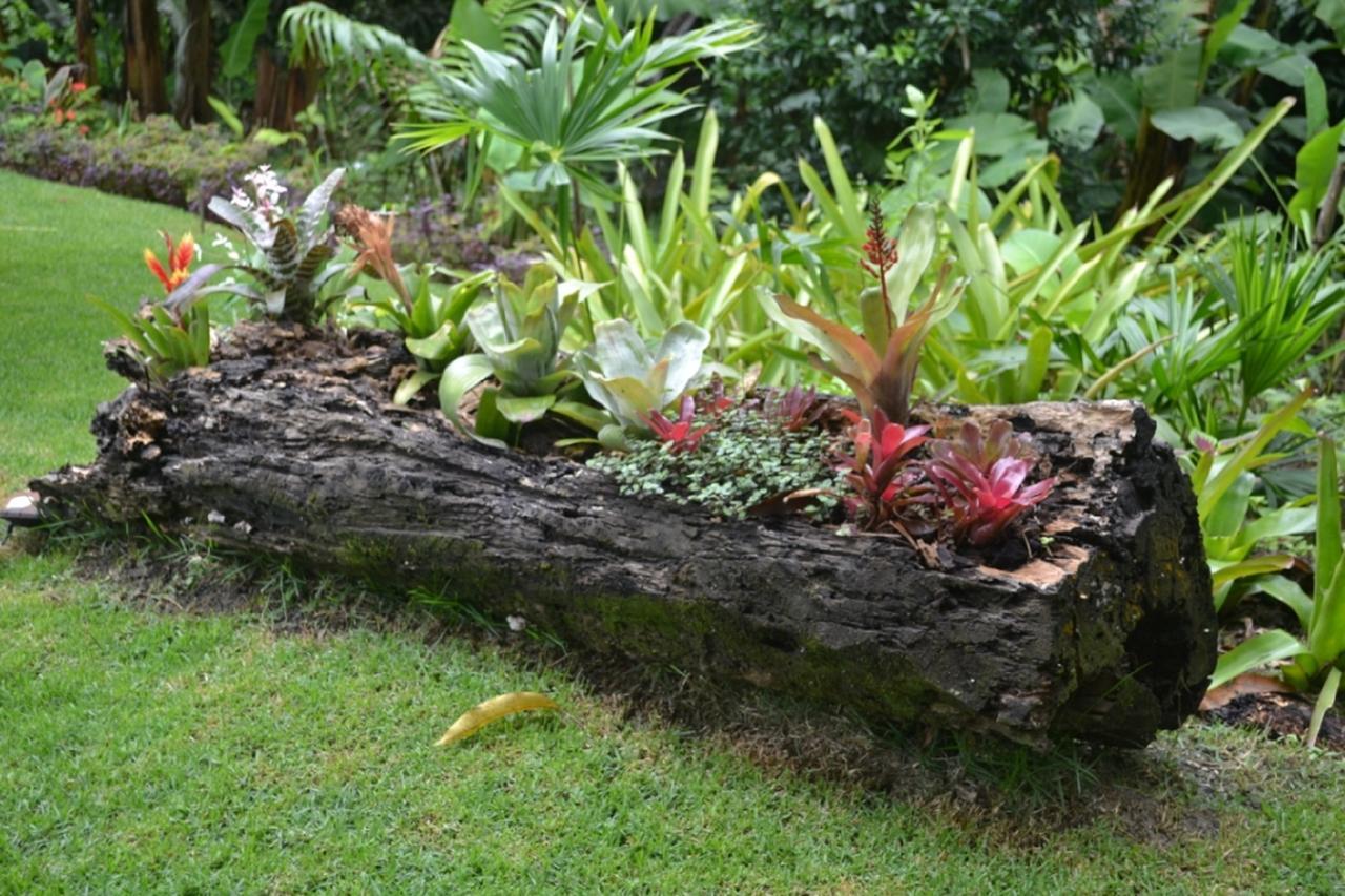 Villa Sitio Alto Da Montanha - Voce Em Paz Com A Natureza Pacoti Exterior foto